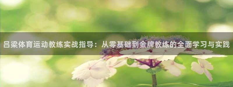 Bsport体育App