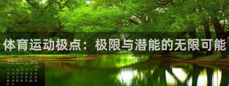 Bsport体育网登录入口2025最新版