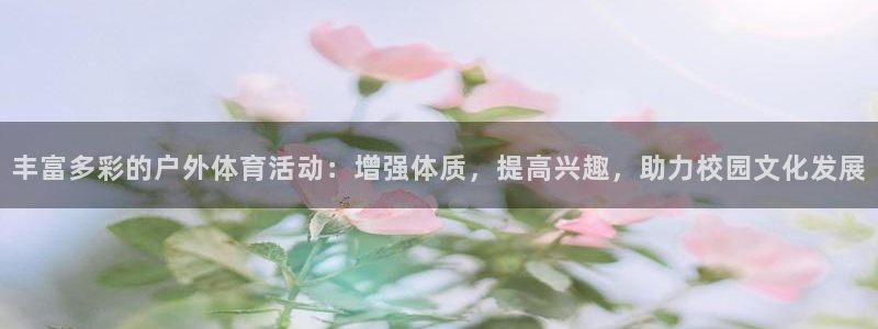 bsport体育必一中国