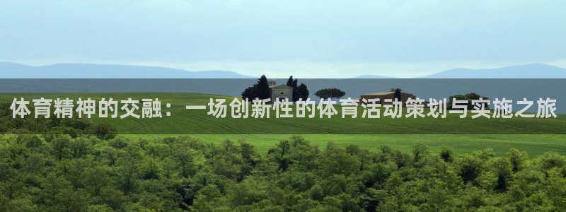 bsport体育在线登录入口：体育精神的交融：一场创新性的体育活动策划与实施之旅