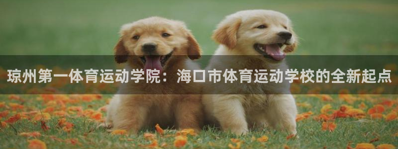 bsport体育官网