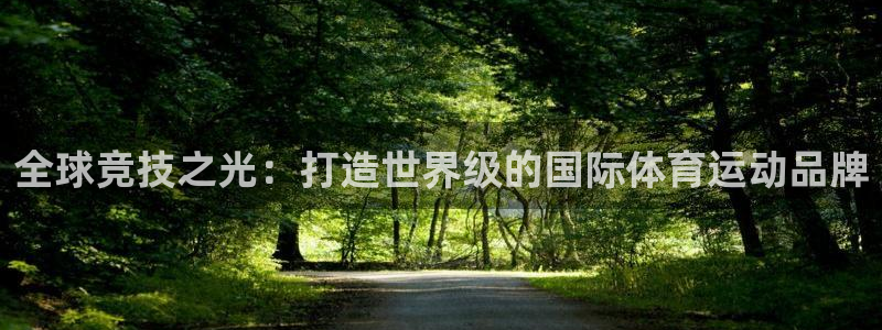 bsport体育必一中国：全球竞技之光：打造世界级的国际体育运动品牌