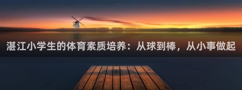 Bsport体育网页版链接