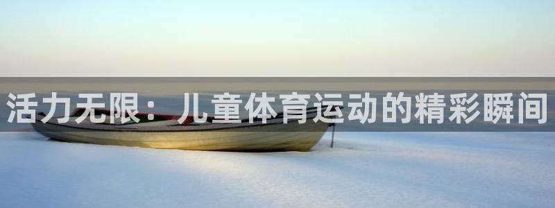 bsport体育入口：活力无限：儿童体育运动的精彩瞬间